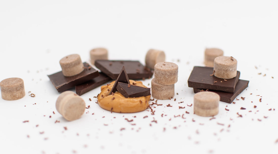 Chocolate Peanut Butter PowerPuck Minis